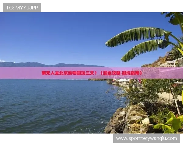 玩球体育入口下载评测避坑指南 玩球体育入口下载评测避坑指南